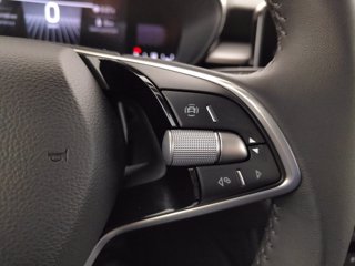 SKODA Fabia 1.0 mpi evo style 80cv