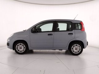 FIAT Panda 1.0 firefly hybrid s&s 70cv