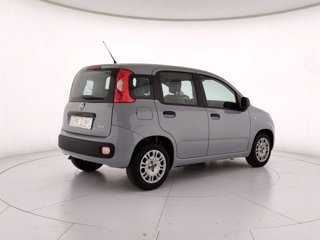 FIAT Panda 1.0 firefly hybrid s&s 70cv
