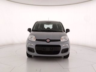 FIAT Panda 1.0 firefly hybrid s&s 70cv