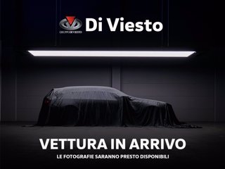 SKODA Fabia 1.0 tsi evo style 95cv