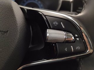 SKODA Fabia 1.0 mpi evo style 80cv