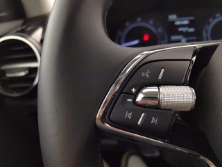 SKODA Fabia 1.0 mpi evo style 80cv