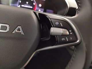 SKODA Fabia 1.0 tsi evo style 95cv