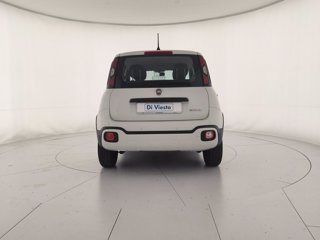 FIAT Panda 1.0 firefly hybrid cross s&s 70cv