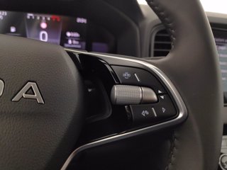 SKODA Karoq 2.0 tdi evo selection 4x4 150cv dsg