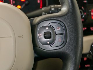 FIAT FIAT PANDA 1.3 MJET 75CV TREKKING 4X4