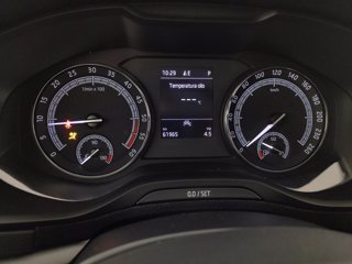 SKODA Karoq 2.0 tdi evo ambition 115cv dsg