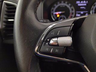 SKODA Karoq 2.0 tdi evo ambition 115cv dsg