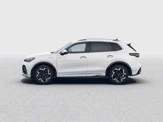 VOLKSWAGEN Tiguan 1.5 tsi ehybrid r-line 204cv dsg