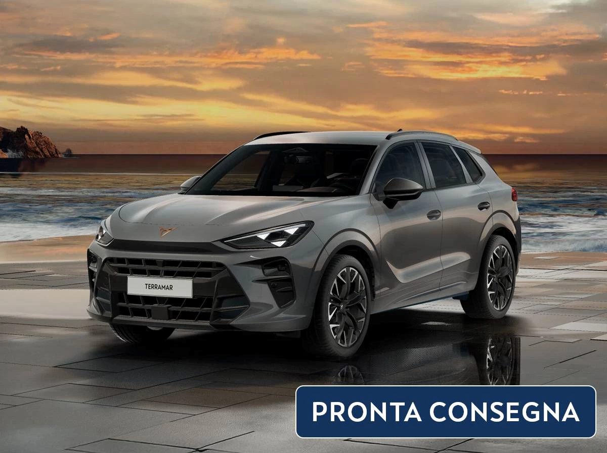 2025 Noleggio Aziende E P.IVA CUPRA Terramar