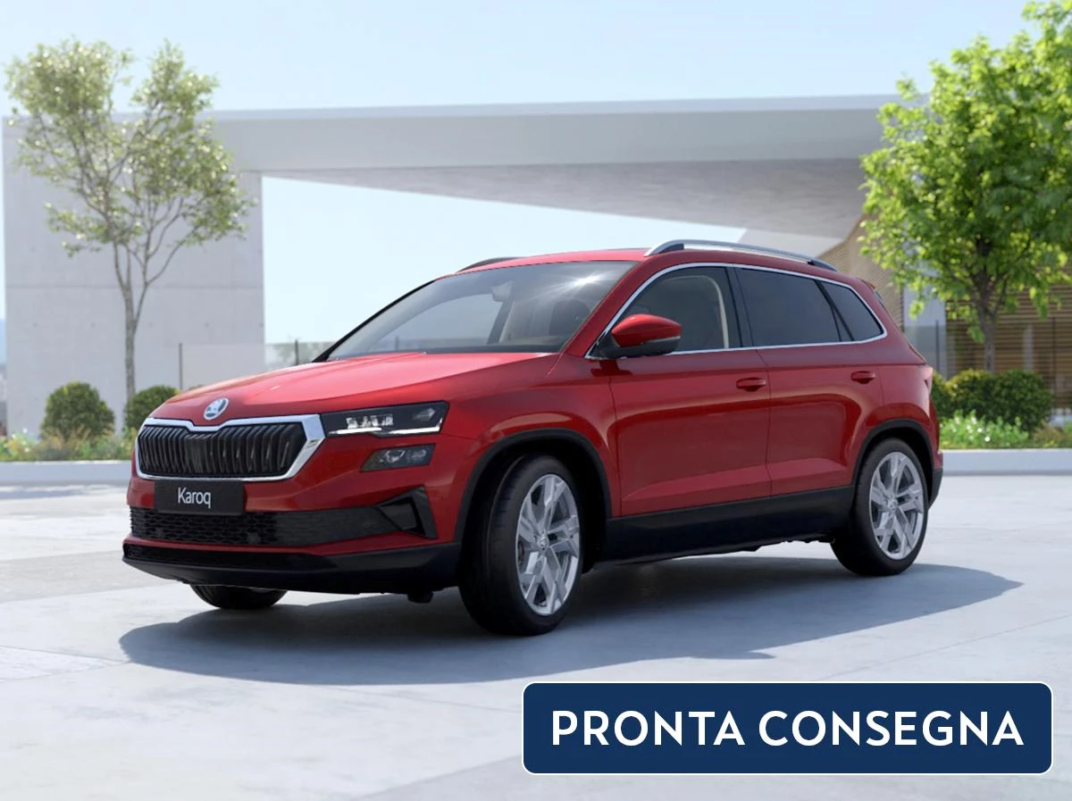 2025 Noleggio Aziende E P.IVA Skoda Karoq