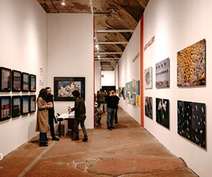 313425046 5745654752151158 73616369039306502 N