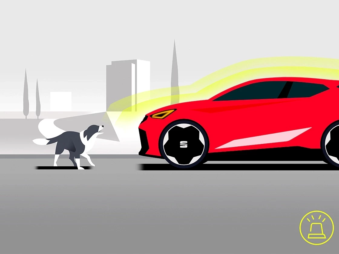 Imgi 204 Seat Ibiza Pa Anti Theft Alarm