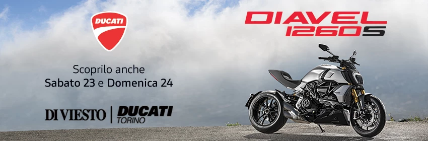 Owe Diavel1260