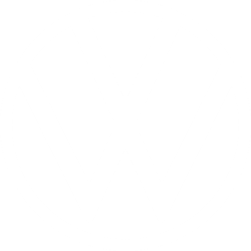 Volkswagen Gruppo Di Viesto