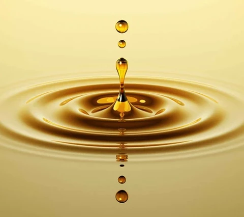 Ricambiamo la tua fedeltà